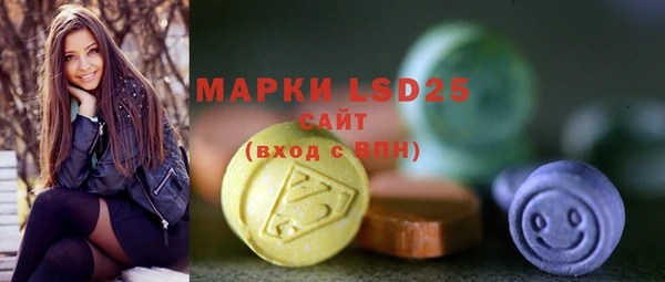 мдпв Верея